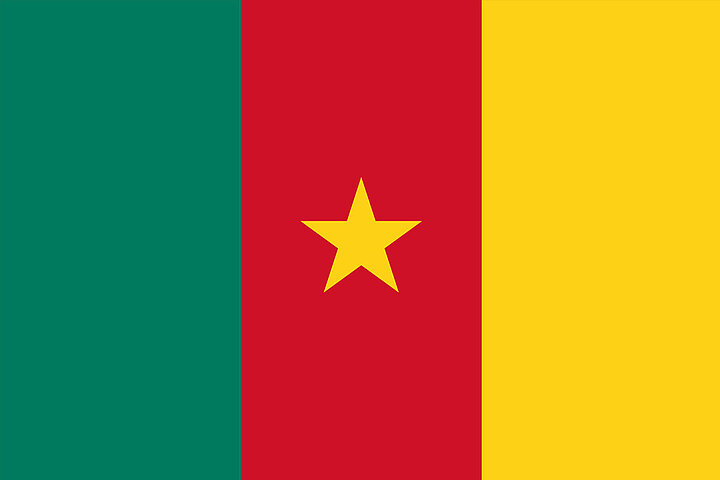 Three vertical stripes: green, red, and yellow. A yellow star appears on the red stripe.